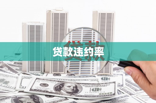 蒙自贷款违约率