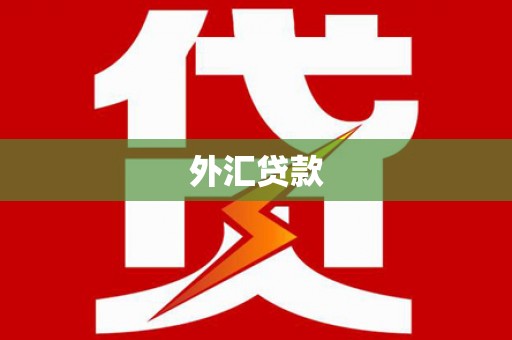武鸣外汇贷款