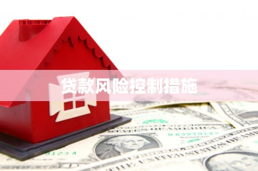 乾安贷款风险控制措施