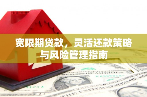 中方宽限期贷款，灵活还款策略与风险管理指南