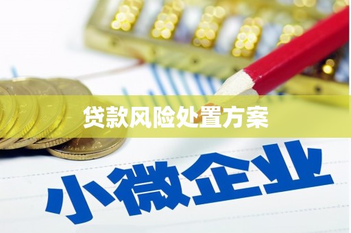 沈河贷款风险处置方案