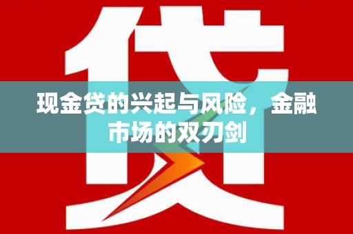 舞阳现金贷的兴起与风险，金融市场的双刃剑