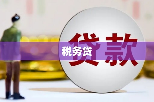 南宫税务贷