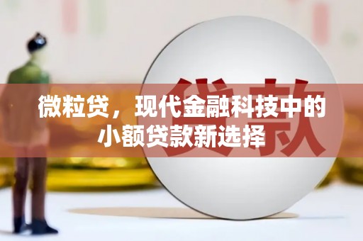 颍上微粒贷，现代金融科技中的小额贷款新选择