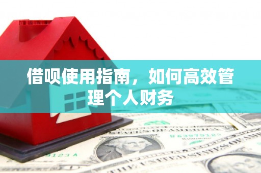光泽借呗使用指南，如何高效管理个人财务