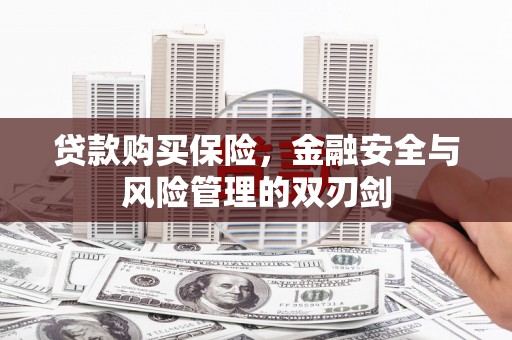 苍溪贷款购买保险，金融安全与风险管理的双刃剑
