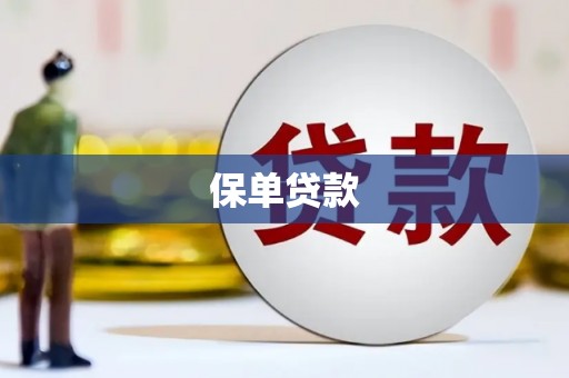 岳塘保单贷款