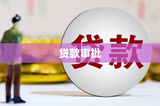 扶绥贷款审批