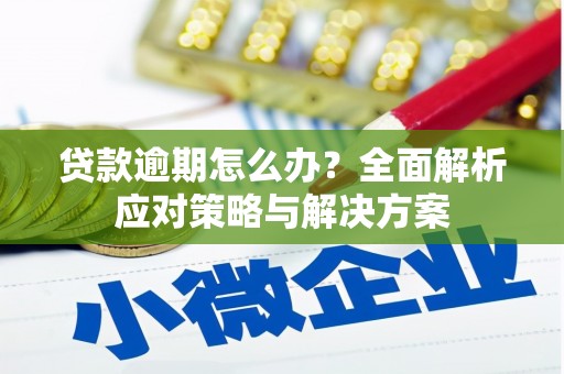 巴塘贷款逾期怎么办？全面解析应对策略与解决方案
