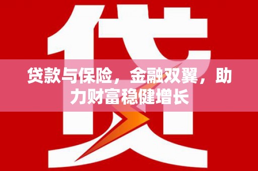 阜康贷款与保险，金融双翼，助力财富稳健增长