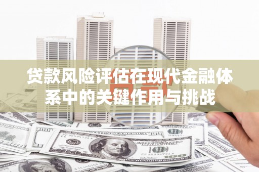 公安贷款风险评估在现代金融体系中的关键作用与挑战