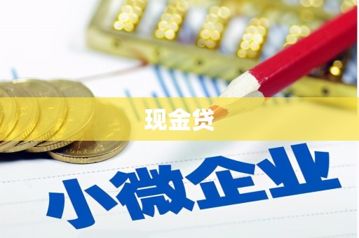 丰原现金贷