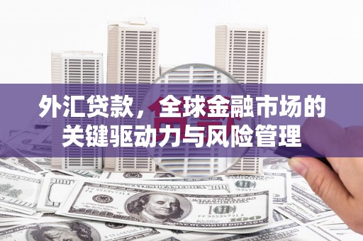 汇川外汇贷款，全球金融市场的关键驱动力与风险管理