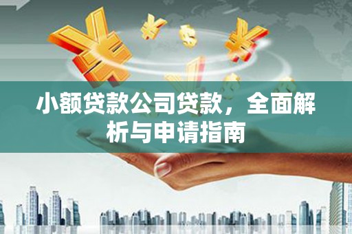 全州小额贷款公司贷款，全面解析与申请指南