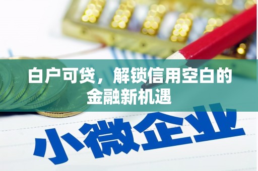 颍泉白户可贷，解锁信用空白的金融新机遇