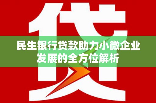 弋江民生银行贷款助力小微企业发展的全方位解析