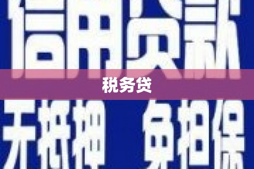士林税务贷
