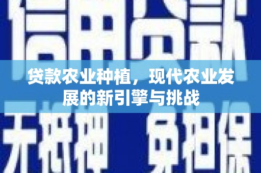 襄阳贷款农业种植，现代农业发展的新引擎与挑战