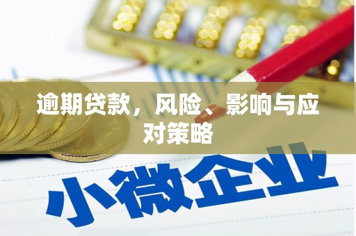 庄浪逾期贷款，风险、影响与应对策略