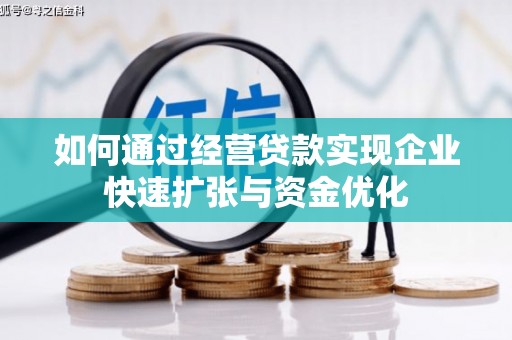 泸溪如何通过经营贷款实现企业快速扩张与资金优化