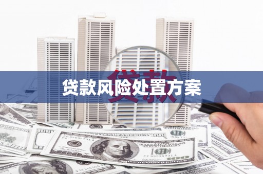 天元贷款风险处置方案