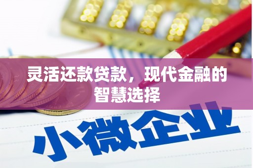 新平灵活还款贷款，现代金融的智慧选择