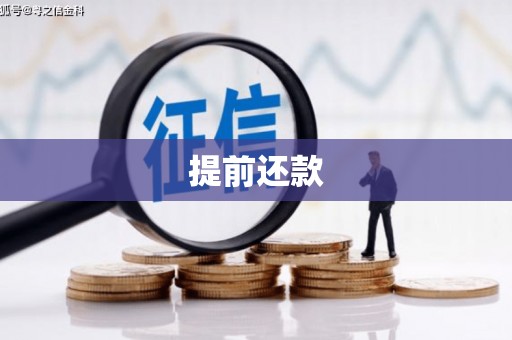 双城提前还款