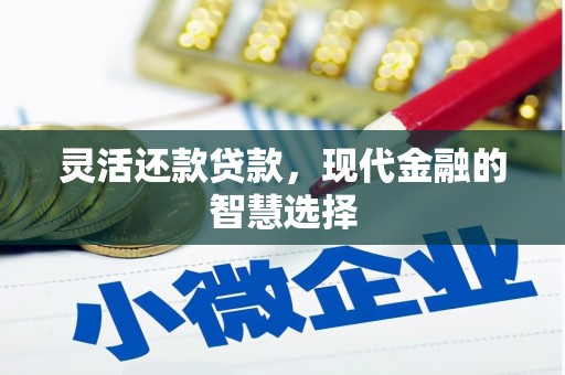 巍山灵活还款贷款，现代金融的智慧选择