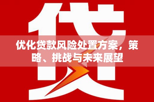 汉中优化贷款风险处置方案，策略、挑战与未来展望