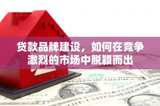 普湾新区贷款品牌建设，如何在竞争激烈的市场中脱颖而出