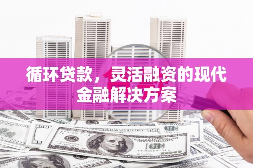 巴彦淖尔市循环贷款，灵活融资的现代金融解决方案