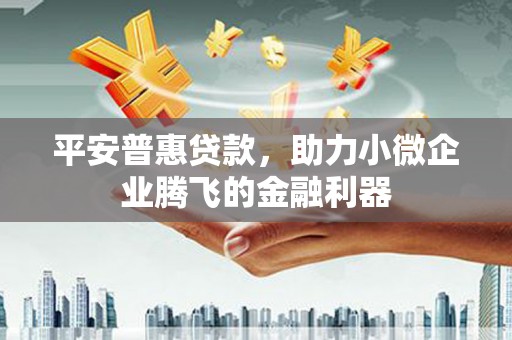 中山平安普惠贷款，助力小微企业腾飞的金融利器
