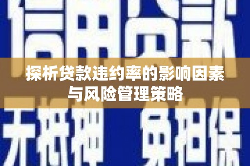 蕉城探析贷款违约率的影响因素与风险管理策略