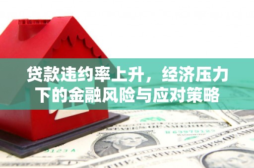 莱山贷款违约率上升，经济压力下的金融风险与应对策略