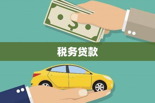 文登税务贷款