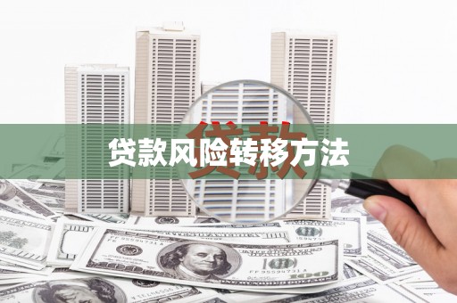 香洲贷款风险转移方法