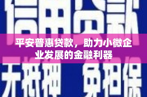 靖西平安普惠贷款，助力小微企业发展的金融利器