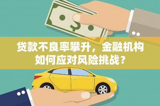 云溪贷款不良率攀升，金融机构如何应对风险挑战？