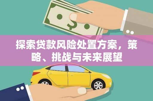 合山探索贷款风险处置方案，策略、挑战与未来展望