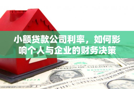 苏家屯小额贷款公司利率，如何影响个人与企业的财务决策