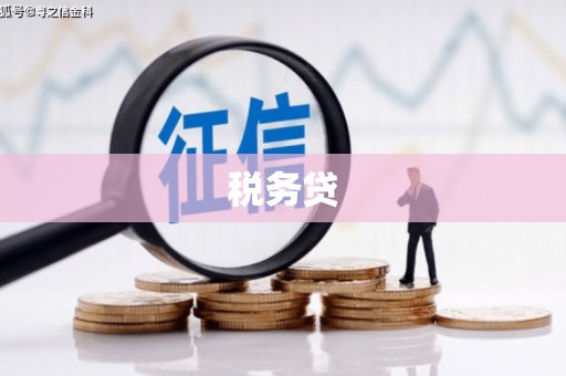 徐汇税务贷