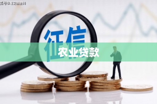 崁顶农业贷款