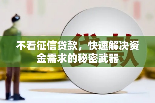陵城不看征信贷款，快速解决资金需求的秘密武器