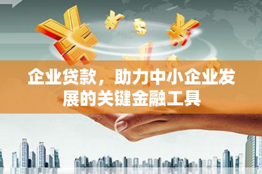大邑企业贷款，助力中小企业发展的关键金融工具