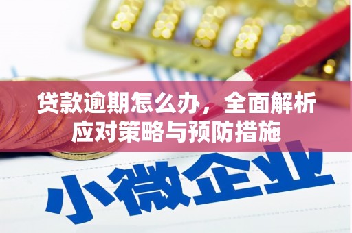 新津贷款逾期怎么办，全面解析应对策略与预防措施