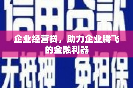 卫东企业经营贷，助力企业腾飞的金融利器