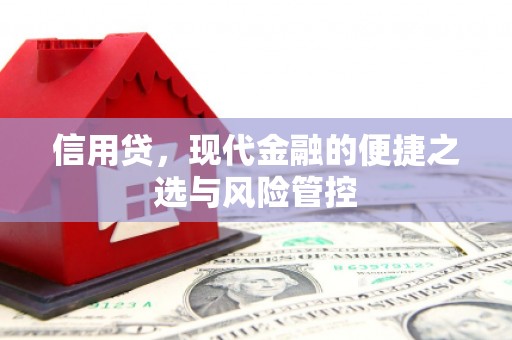 六甲信用贷，现代金融的便捷之选与风险管控