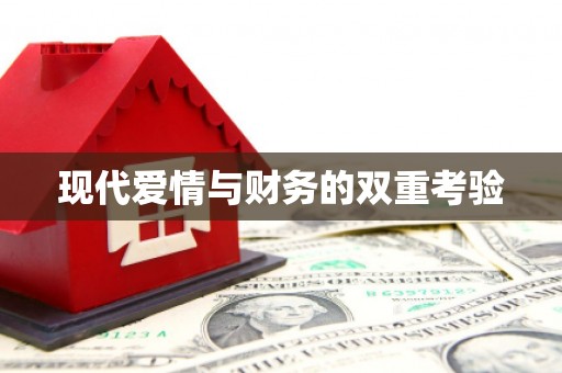 官田现代爱情与财务的双重考验