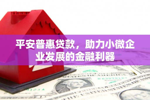 达拉特旗平安普惠贷款，助力小微企业发展的金融利器