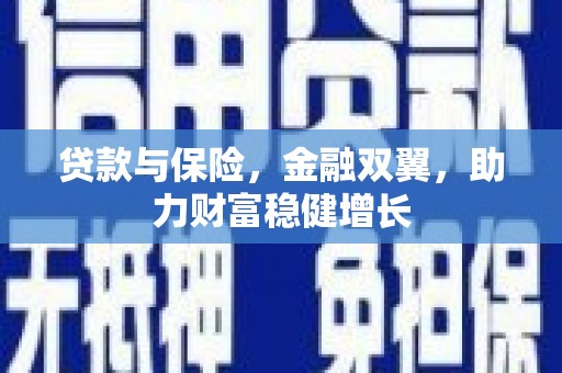 吴忠贷款与保险，金融双翼，助力财富稳健增长